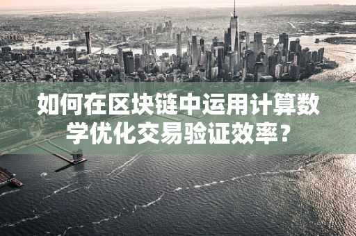 如何在区块链中运用计算数学优化交易验证效率？