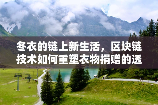 冬衣的链上新生活，区块链技术如何重塑衣物捐赠的透明与效率？
