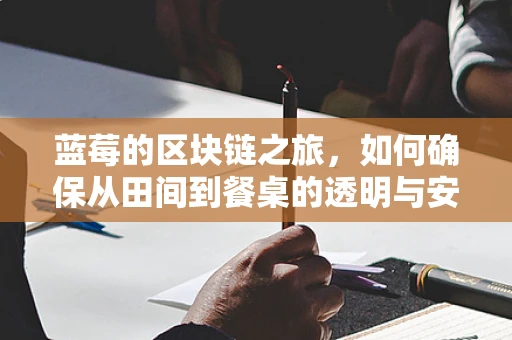 蓝莓的区块链之旅，如何确保从田间到餐桌的透明与安全？