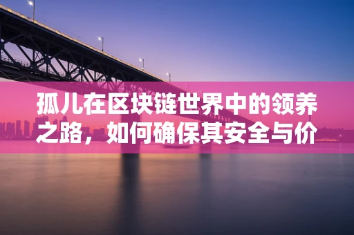 孤儿在区块链世界中的领养之路，如何确保其安全与价值？