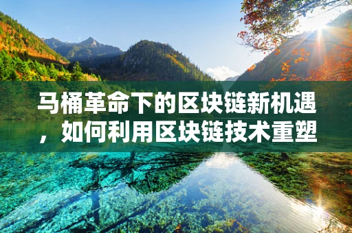 马桶革命下的区块链新机遇，如何利用区块链技术重塑智能卫浴生态？