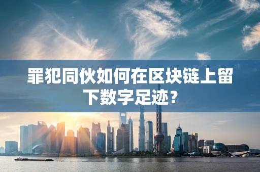 罪犯同伙如何在区块链上留下数字足迹？