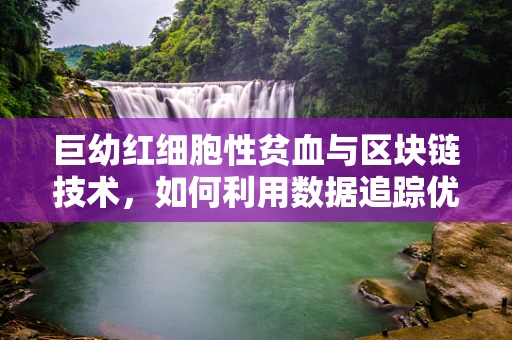 巨幼红细胞性贫血与区块链技术，如何利用数据追踪优化治疗路径？