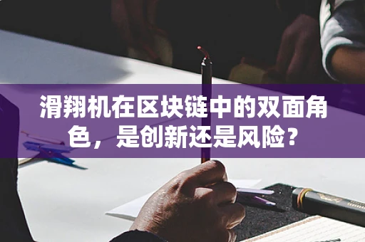 滑翔机在区块链中的双面角色，是创新还是风险？