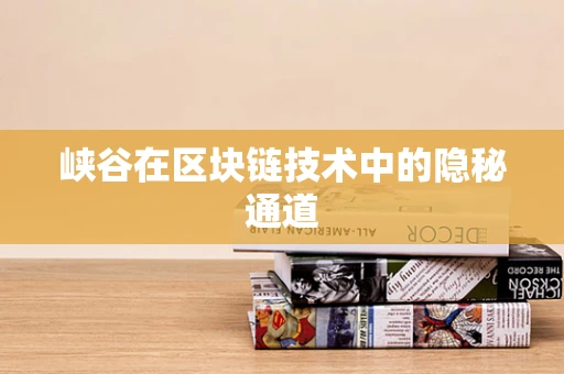 峡谷在区块链技术中的隐秘通道
