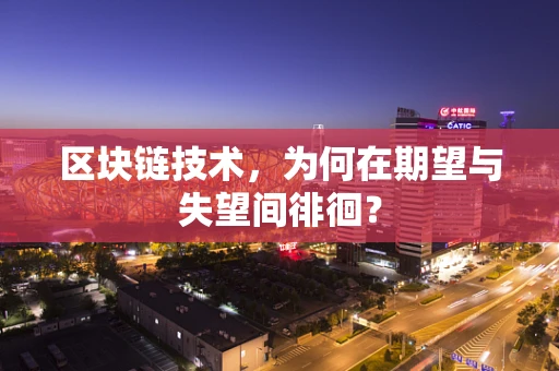 区块链技术，为何在期望与失望间徘徊？