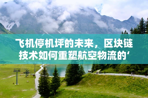 飞机停机坪的未来，区块链技术如何重塑航空物流的‘地面’战略？