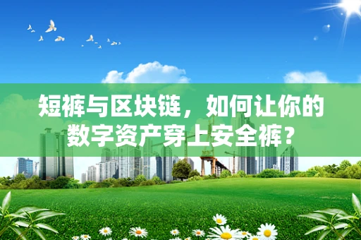 短裤与区块链，如何让你的数字资产穿上安全裤？