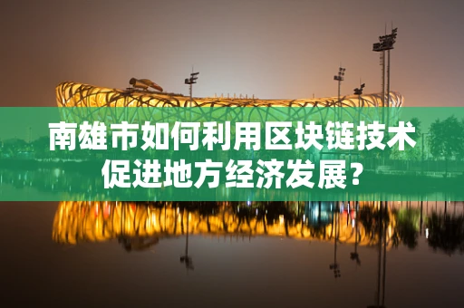 南雄市如何利用区块链技术促进地方经济发展？