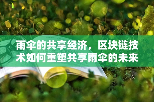 雨伞的共享经济，区块链技术如何重塑共享雨伞的未来？