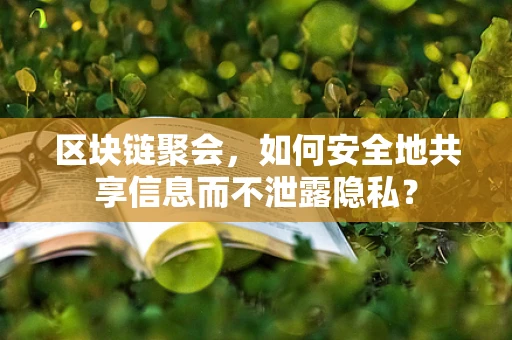 区块链聚会，如何安全地共享信息而不泄露隐私？