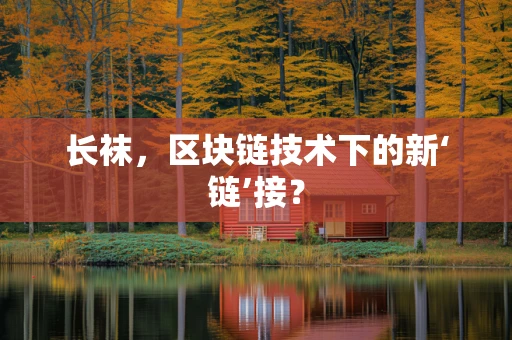长袜，区块链技术下的新‘链’接？