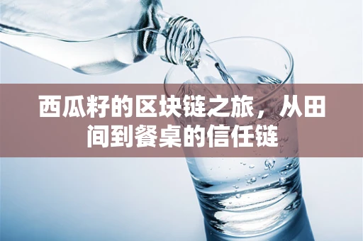 西瓜籽的区块链之旅，从田间到餐桌的信任链