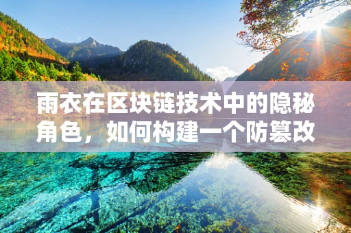 雨衣在区块链技术中的隐秘角色，如何构建一个防篡改的数字身份‘雨衣’？