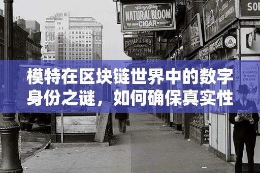 模特在区块链世界中的数字身份之谜，如何确保真实性与隐私？
