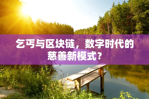 乞丐与区块链，数字时代的慈善新模式？