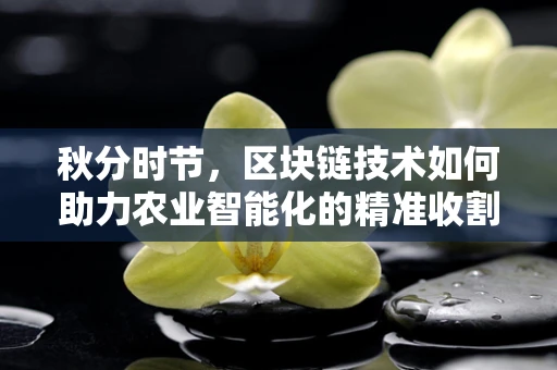 秋分时节，区块链技术如何助力农业智能化的精准收割？