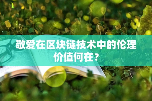 敬爱在区块链技术中的伦理价值何在？