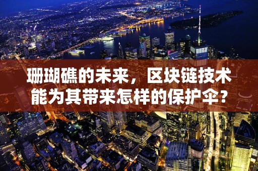 珊瑚礁的未来，区块链技术能为其带来怎样的保护伞？