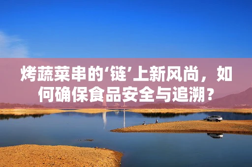 烤蔬菜串的‘链’上新风尚，如何确保食品安全与追溯？
