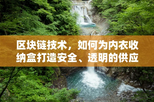 区块链技术，如何为内衣收纳盒打造安全、透明的供应链？