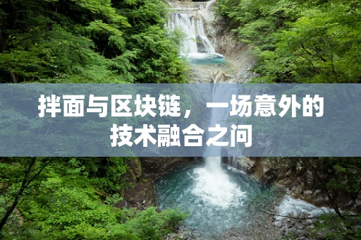 拌面与区块链，一场意外的技术融合之问