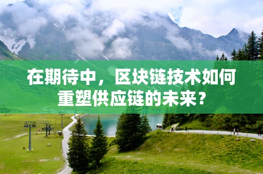 在期待中，区块链技术如何重塑供应链的未来？