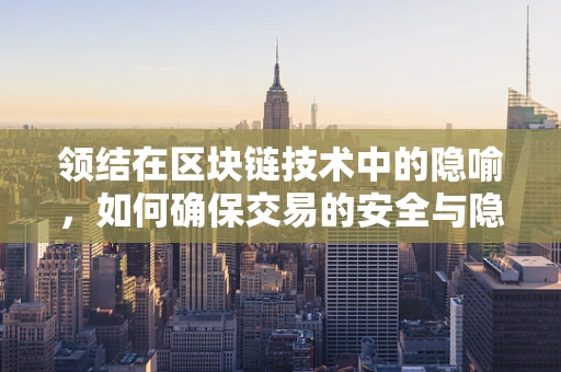 领结在区块链技术中的隐喻，如何确保交易的安全与隐私？