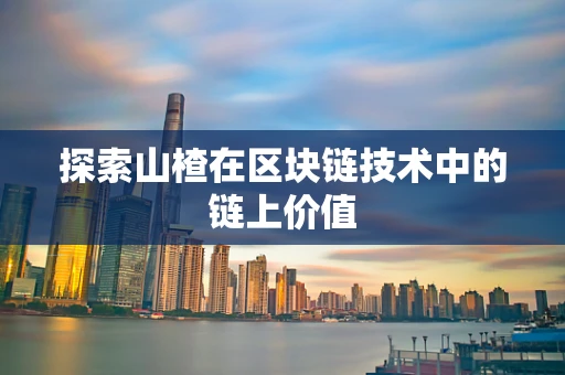 探索山楂在区块链技术中的链上价值