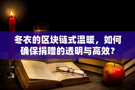 冬衣的区块链式温暖，如何确保捐赠的透明与高效？