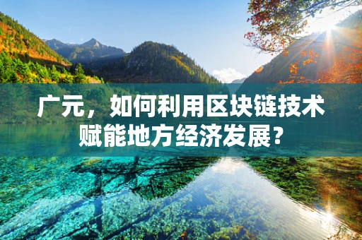 广元，如何利用区块链技术赋能地方经济发展？