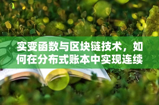 实变函数与区块链技术，如何在分布式账本中实现连续性的保障？