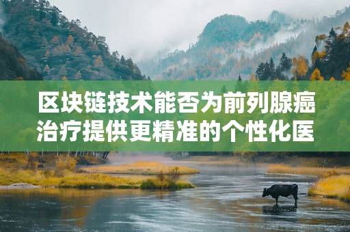 区块链技术能否为前列腺癌治疗提供更精准的个性化医疗方案？
