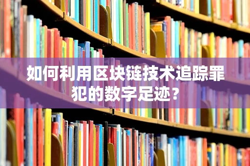 如何利用区块链技术追踪罪犯的数字足迹？