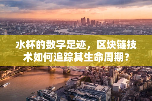 水杯的数字足迹，区块链技术如何追踪其生命周期？