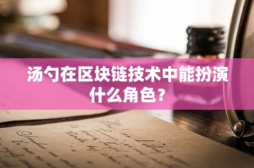 汤勺在区块链技术中能扮演什么角色？