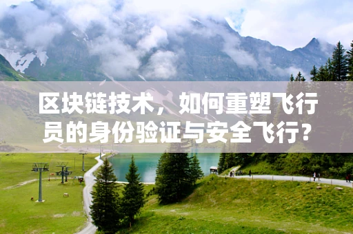 区块链技术，如何重塑飞行员的身份验证与安全飞行？