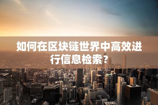 如何在区块链世界中高效进行信息检索？