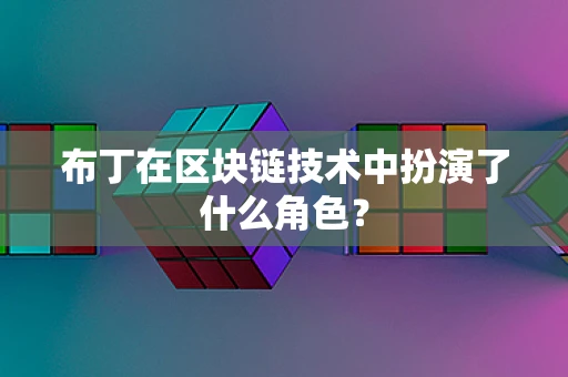 布丁在区块链技术中扮演了什么角色？