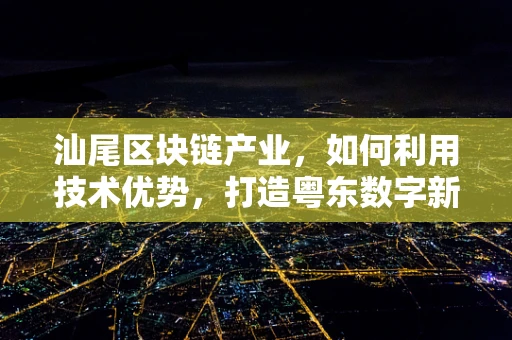 汕尾区块链产业，如何利用技术优势，打造粤东数字新名片？