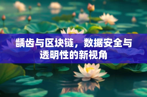 龋齿与区块链，数据安全与透明性的新视角