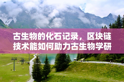 古生物的化石记录，区块链技术能如何助力古生物学研究？