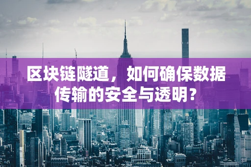 区块链隧道，如何确保数据传输的安全与透明？
