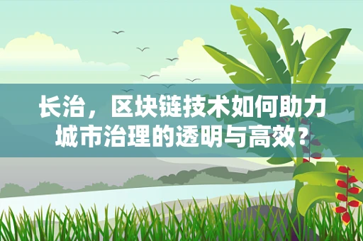 长治，区块链技术如何助力城市治理的透明与高效？