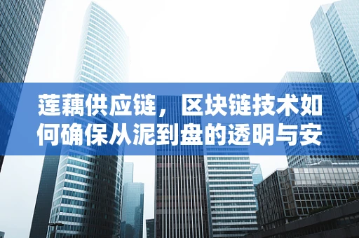 莲藕供应链，区块链技术如何确保从泥到盘的透明与安全？