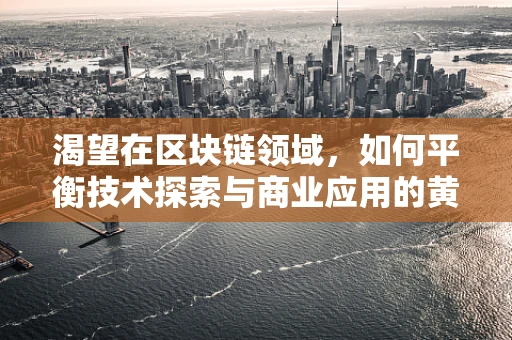 渴望在区块链领域，如何平衡技术探索与商业应用的黄金比例？