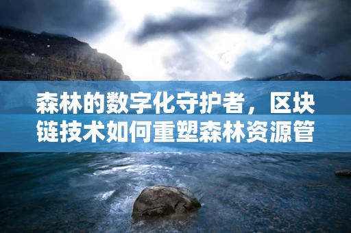 森林的数字化守护者，区块链技术如何重塑森林资源管理？