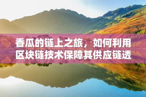 香瓜的链上之旅，如何利用区块链技术保障其供应链透明与安全？