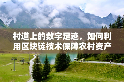 村道上的数字足迹，如何利用区块链技术保障农村资产透明与安全？
