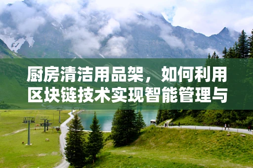 厨房清洁用品架，如何利用区块链技术实现智能管理与追踪？
